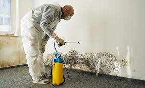 Why You Should Choose Our Mold Remediation Services in Darlington, SC